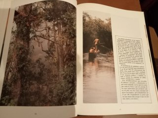 Amazonia: la lucha por la vida (Sting)