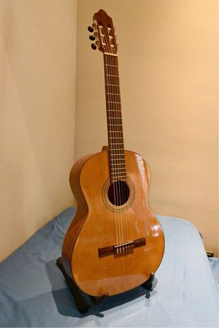Guitarra Clásica Tanglewood TSC110