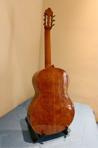 Guitarra Clásica Tanglewood TSC110