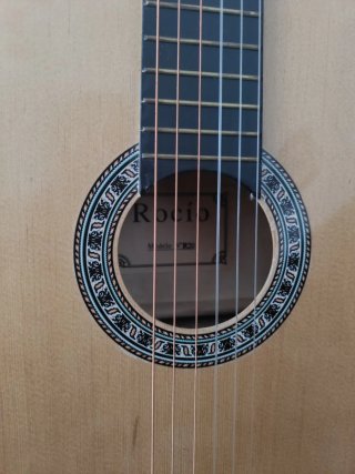 Guitarra R20 + Funda