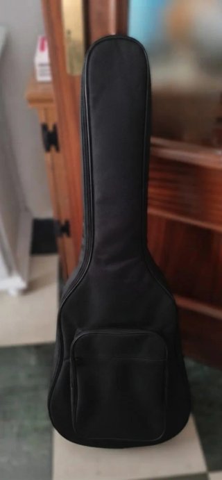 Guitarra R20 + Funda