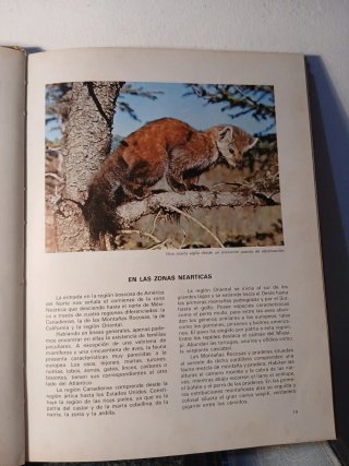 EL APASIONANTE MUNDO DE LOS ANIMALES