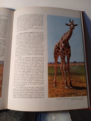 EL APASIONANTE MUNDO DE LOS ANIMALES