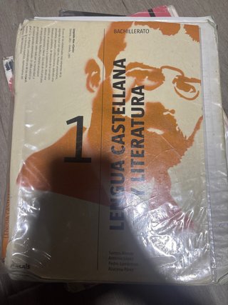 Lengua castellana y Literatura 1 Bachillerato