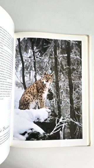 Grandes santuarios del mundo animal (National G.)