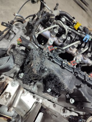 MOTOR COMPLETO Jaguar F-PACE (09.2015->)