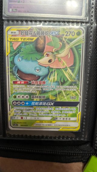 Carta Pokémon Venusaur & Snivy GX Tag Team Chino