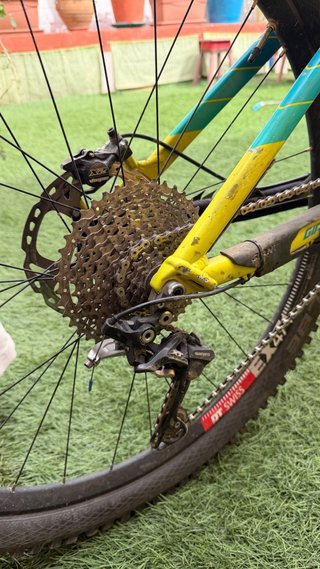 Giant Reign talla S