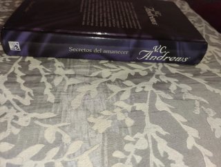 Secretos del amanecer - novela romántica