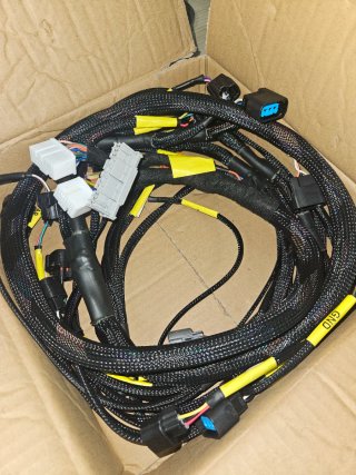 Cableado K20 K24 Honda Civic