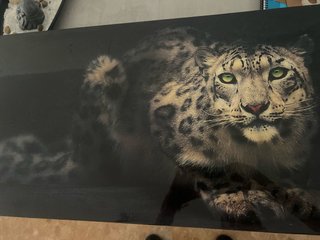 Cuadro Leopardo Nieve Ojos Verdes