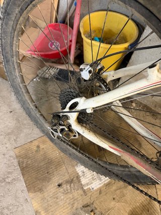 Bici Orbea MTB