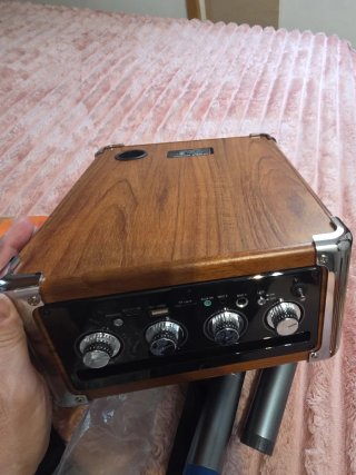 Mini Karaoke con Micrófonos