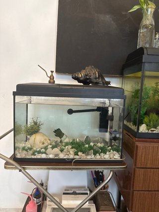 Acuario grande con mueble