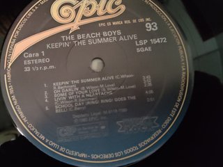 The Beach Boys Keepin' Summer Alive LP
