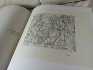 Libro de Picasso:Caja de Remordimientos