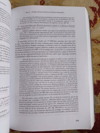 Curso de Derecho Procesal Penal