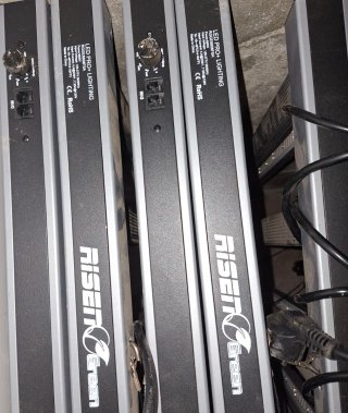 Luces LED Cosmos y Rissen 880/1000w