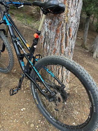 Bici focus sam 2