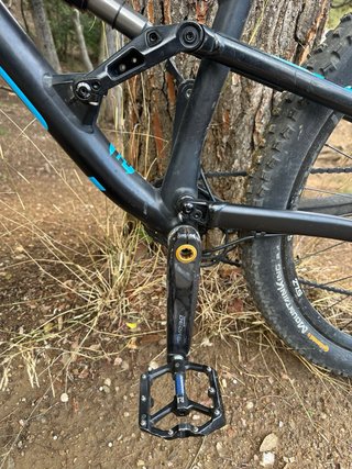 Bici focus sam 2