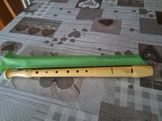 Flauta Hohner de plástico