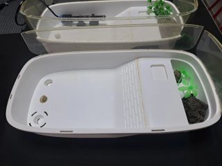 2 Tortugueras Plástico Transparentes +comida 110gr