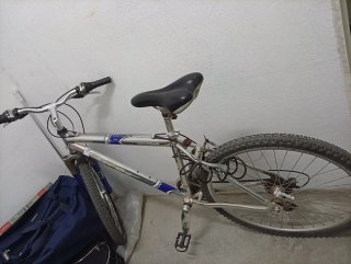Bicicleta de montaña plateada