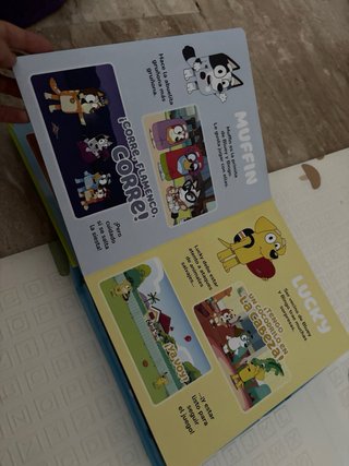 Libro Bluey Divertilibros