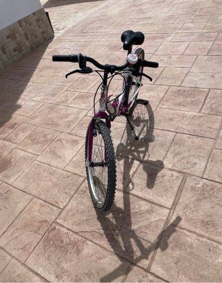 Bicicleta 24” rosa con detalles florales