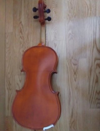 Viola Gliga I