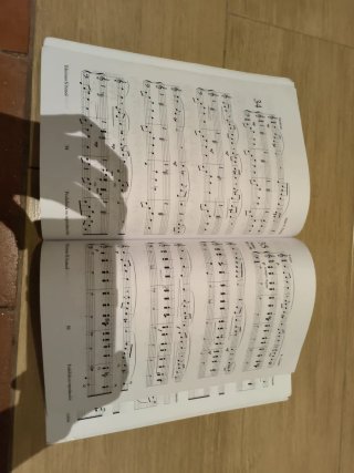 Libro Lenguaje Musical Melódico 2 Elemental