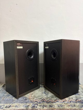ALTAVOCES TECHNICSSB CS65