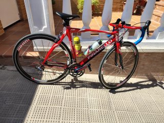 Bicicleta Pinarello Carbono Carretera