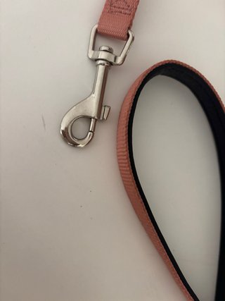 2 camas para perro o gato