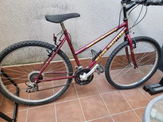 Bicicleta Globe Trotter 24