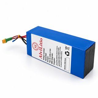 Batería Litio 24V 20Ah AlviLitio