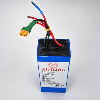 Batería Litio 24V 20Ah AlviLitio