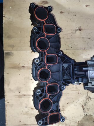 COLECTOR ADMISION Audi