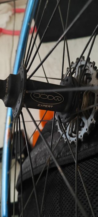 Ruedas CODA Expert+ aro Mavic
