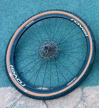 Ruedas Gravel sticker Roval Terra