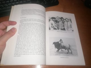 Libro: GITANOS EN EL RUEDO - Joaquín Albaicín