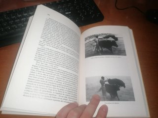 Libro: GITANOS EN EL RUEDO - Joaquín Albaicín
