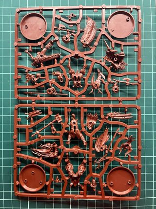 Warhammer Underworlds: Gnarlspirit Pack