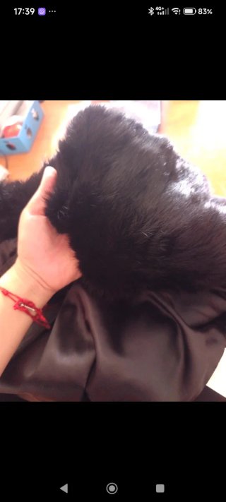 Gabardina de cuero con cuello de pelo