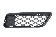 Rejilla Parachoques BMW X3 F25 (2010-2014)