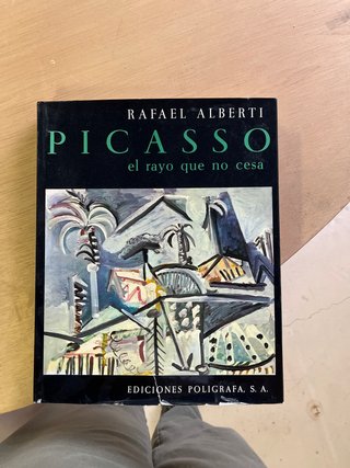 Libro, Picasso, el rayo que no cesa