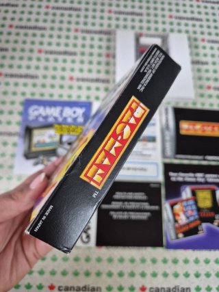 Pac-Man Game Boy Advance