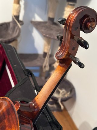 Violino 4/4