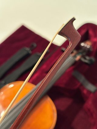 Violino 4/4