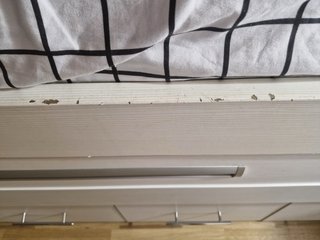 Cama nido madera maciza con cajones